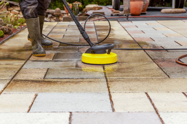 Best Animal Enclosure Cleaning  in Inkster, MI
